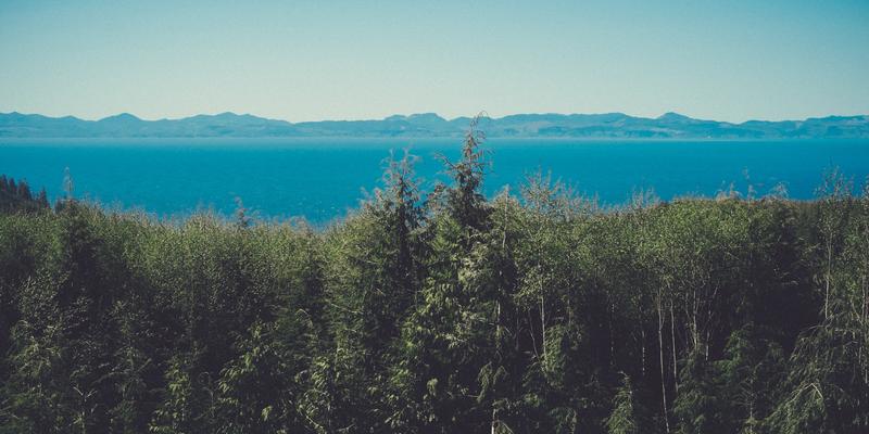 Paisaje